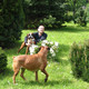 Jaromir, 73